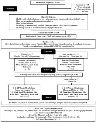 Plasma, urine, and stool metabolites in response to dietary rice bran and navy bean supplementation in adults at high-risk for colorectal cancer
